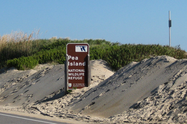 pea-island-outer-banks-nc-600x400-001.jpg