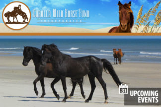 Corolla Wild Horse Fund Calendar of Events