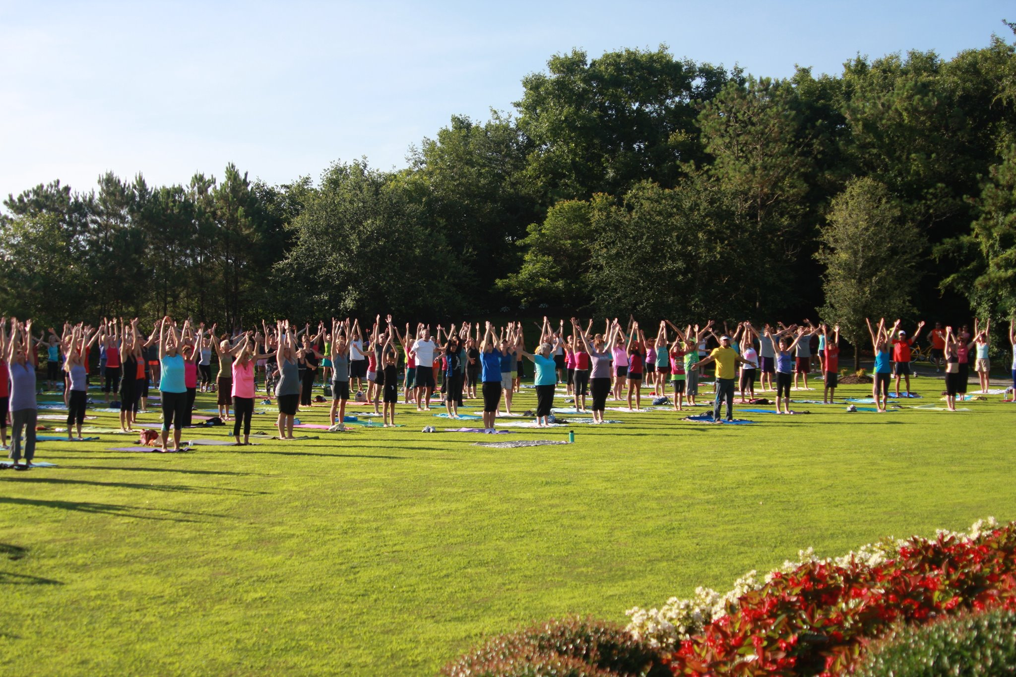 Duck Village Yoga