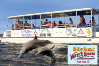Kitty Hawk Watersports Dolphin Tour Outer Banks